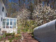 Greenhouses