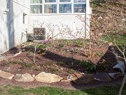 Raised Beds