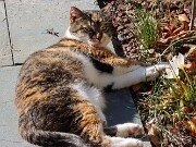 Mei Mei.20251124 0001