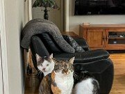 Rohan and Mei Mei 20240128 0003