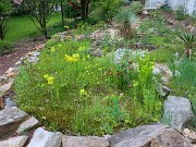 Spring Bog Gardens 20220514 0001