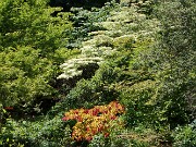 Summer Garden Views 20250602 0012