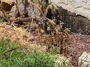 Physical Plant Damage